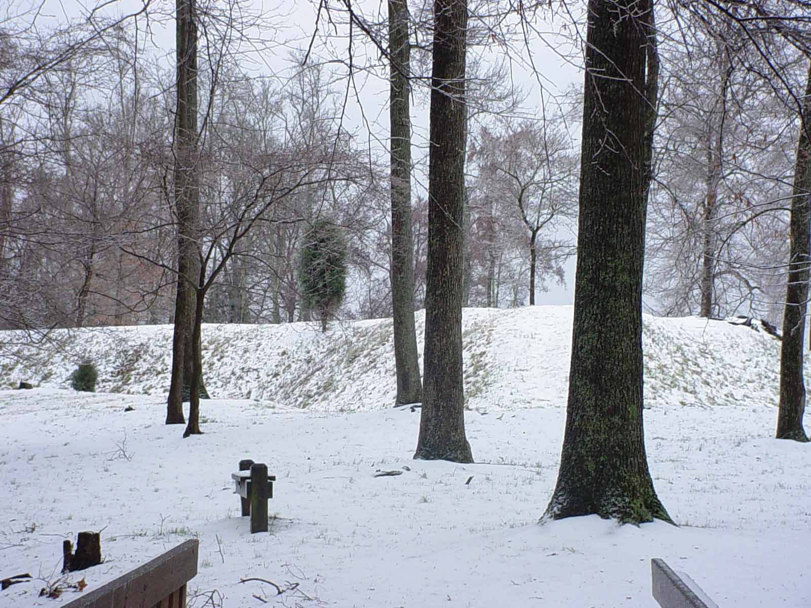 Staunton River Battlefield Earthworks